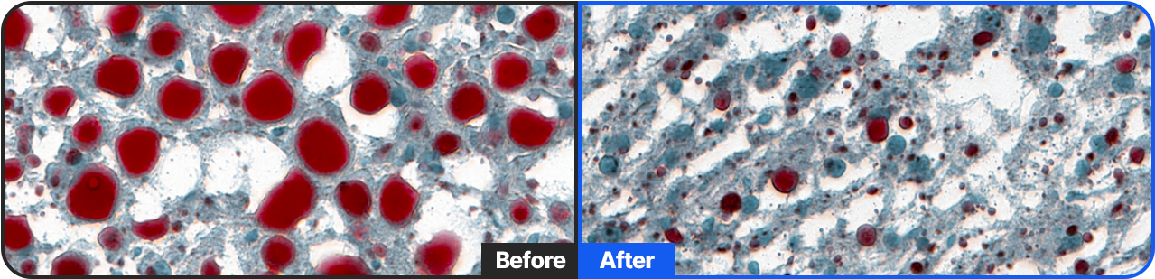 compare cells