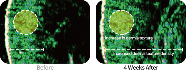 cell image